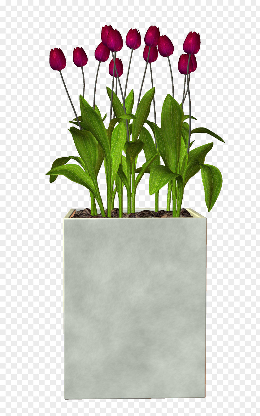 Flower Bed PNG