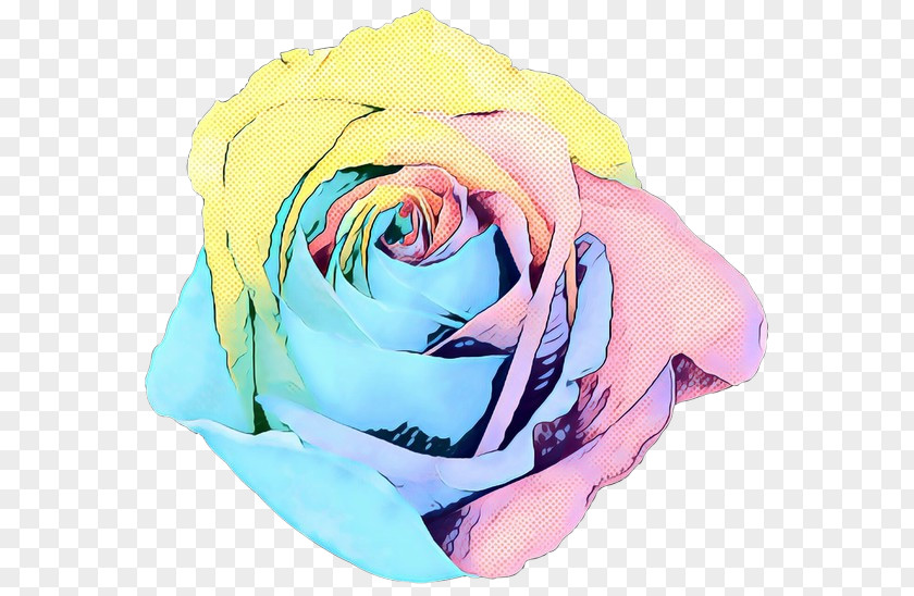 Garden Roses Plant Rainbow Rose PNG