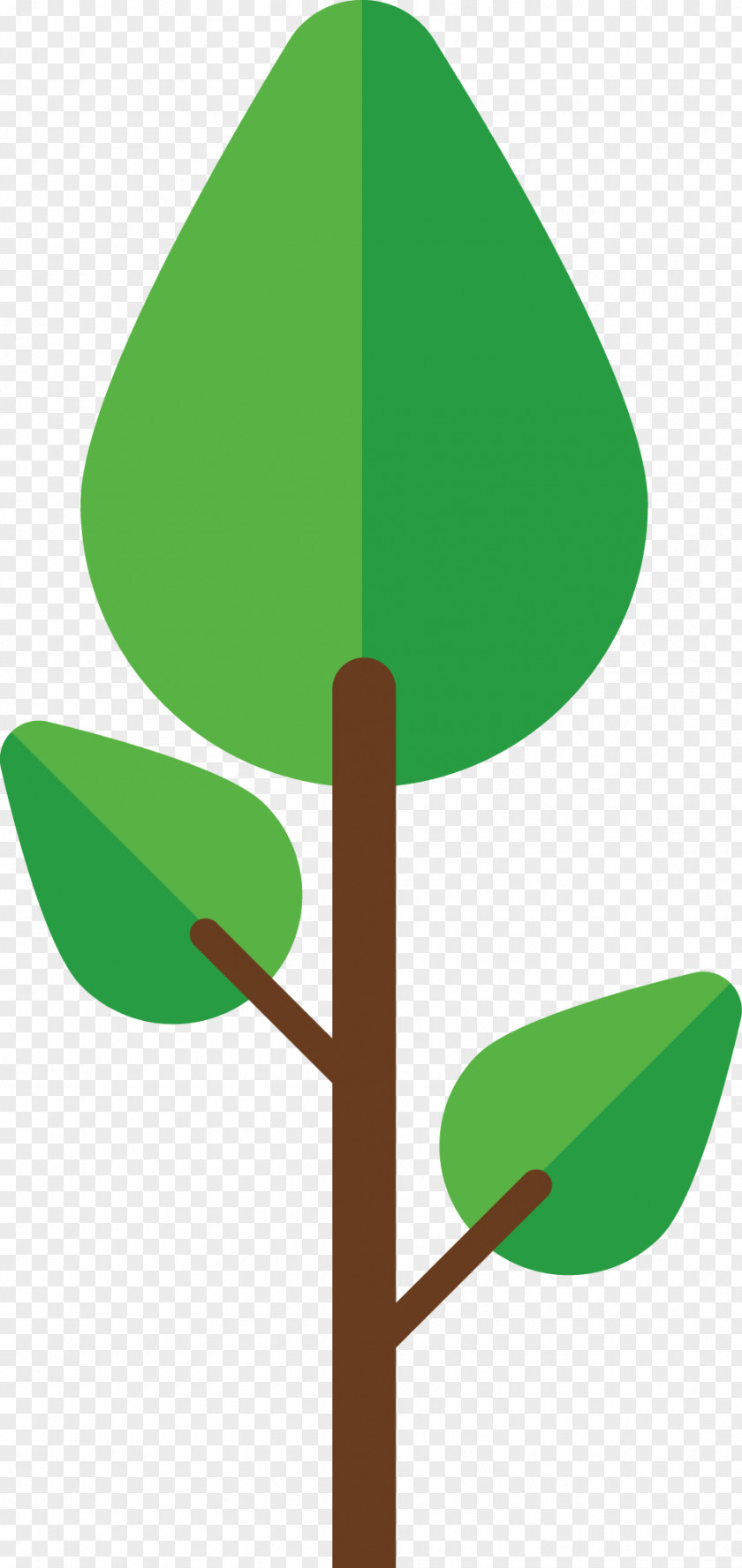 Green Flattened Trees PNG