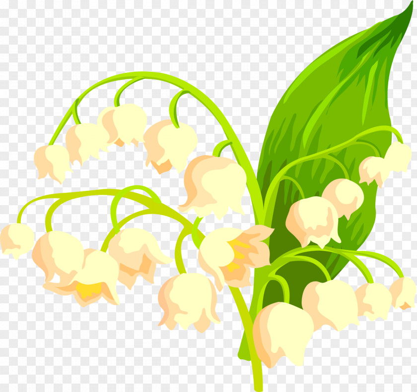 Lily Of The Valley Cut Flowers Floral Design Floristry PNG