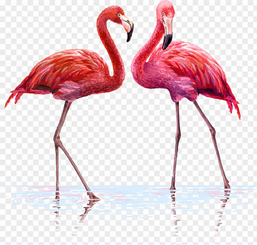 One Pair Of Flamingos Flamingo Wall Decal Tapestry Interior Design Services PNG