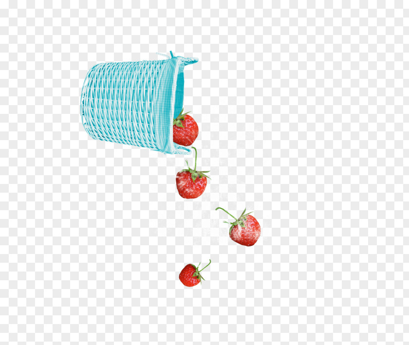 Pour Tomato Basket PNG