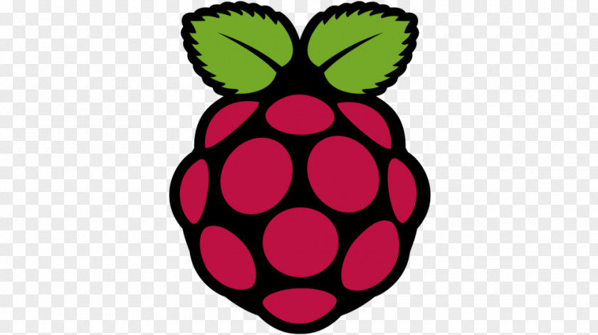 Raspberry Pi Installation Logo Embedded System CentOS PNG