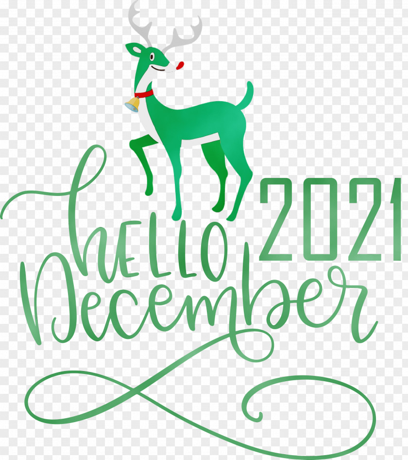 Reindeer PNG