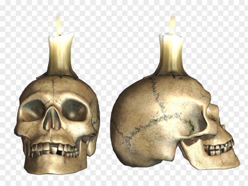 Skulls Skull Skeleton Download PNG