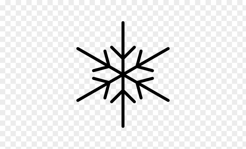 Snowflake Flake Ice PNG