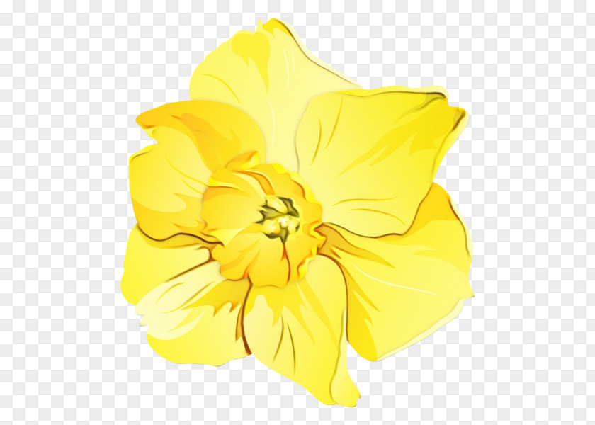 Yellow Hawaiian Hibiscus Flower Petal Plant PNG