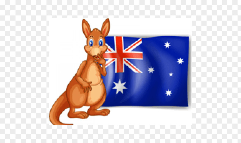 Australia Red Kangaroo Macropodidae PNG
