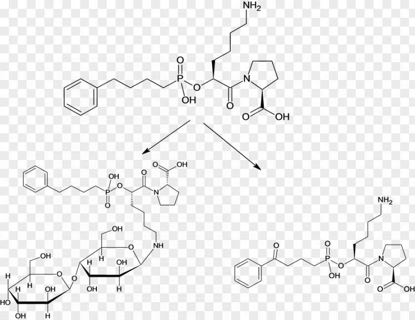 Lactose Excipient Pharmaceutical Drug Amlodipine Cetirizine PNG