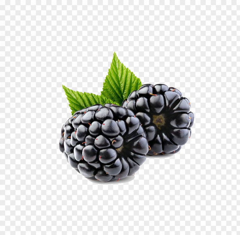 Raspberry Frutti Di Bosco Blueberry Blackberry Fruit PNG