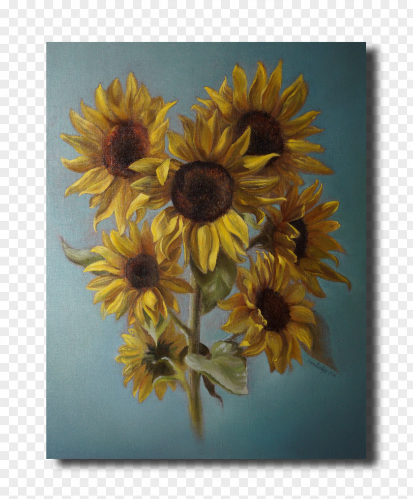 Sunflowers Common Sunflower Seed Still Life Photography PNG