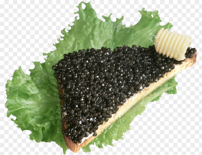 Caviar Beluga Butterbrot Oladyi Pancake PNG