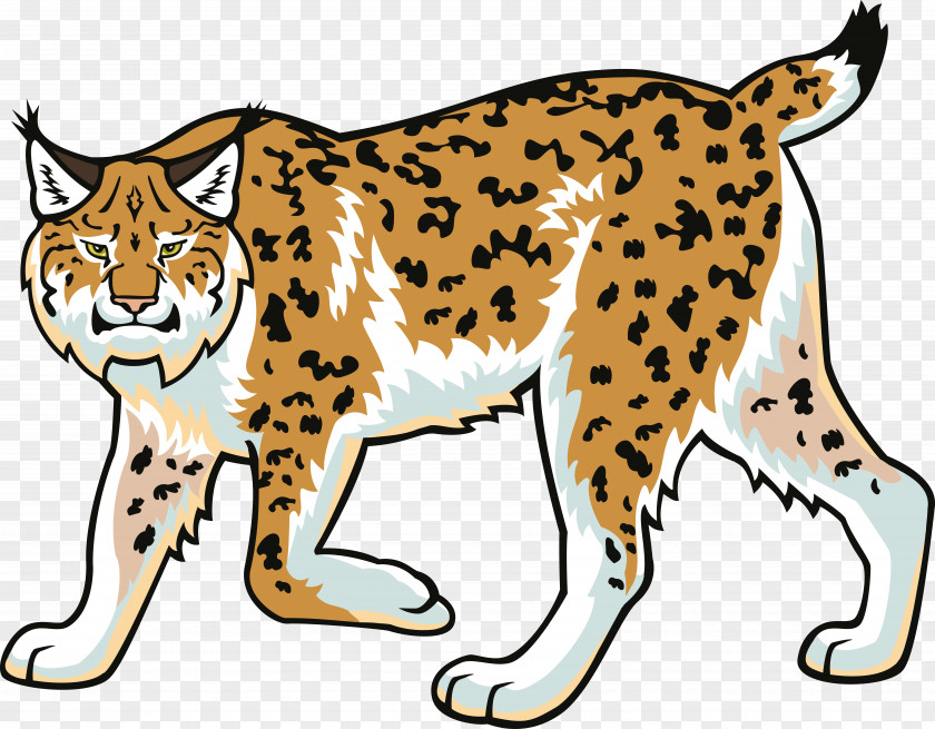 Cheetah Eurasian Lynx Bobcat Wildcat Felidae Clip Art PNG