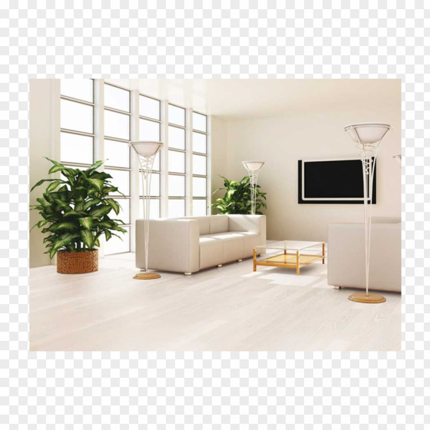 Floor Living Room Feng Shui Plant Drawing Bedroom PNG