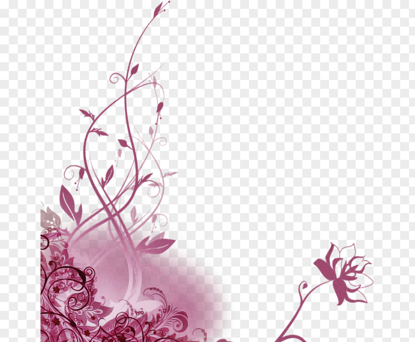 Floral Design PNG