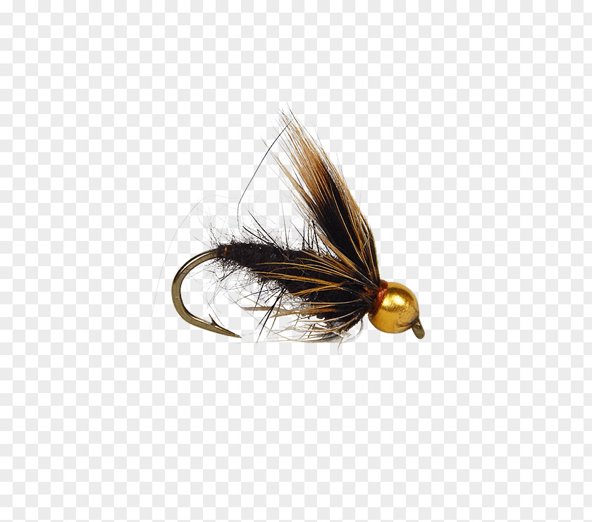 Fly Artificial Pupa Caddisflies Insect PNG