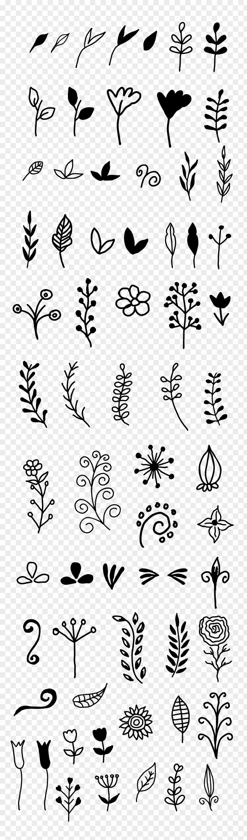 Motifs Vector Doodle Drawing Lettering Calligraphy Art PNG