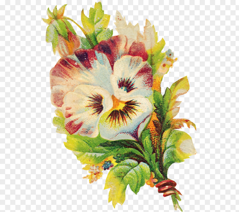 Pansy Clip Art PNG