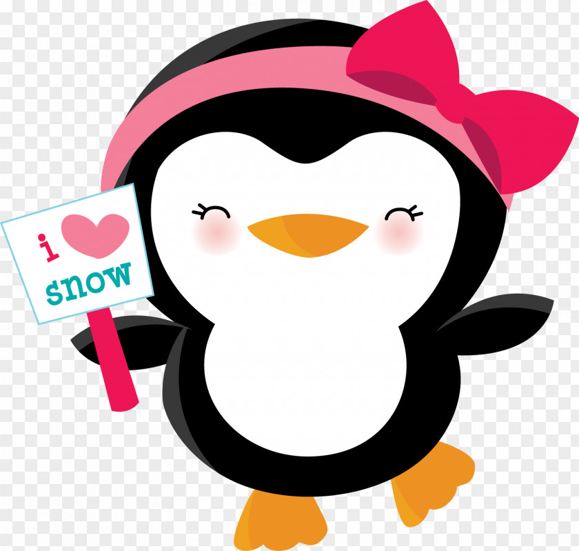 Penguin Image Bird Drawing Birthday PNG