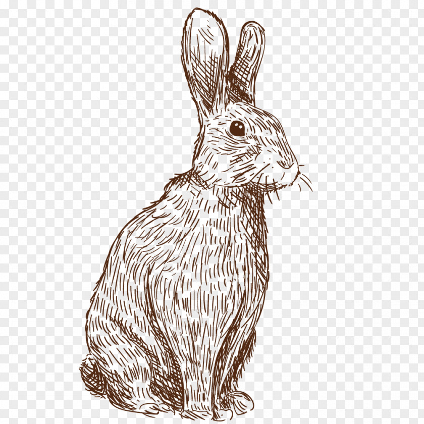 Vector Painted Rabbit PNG