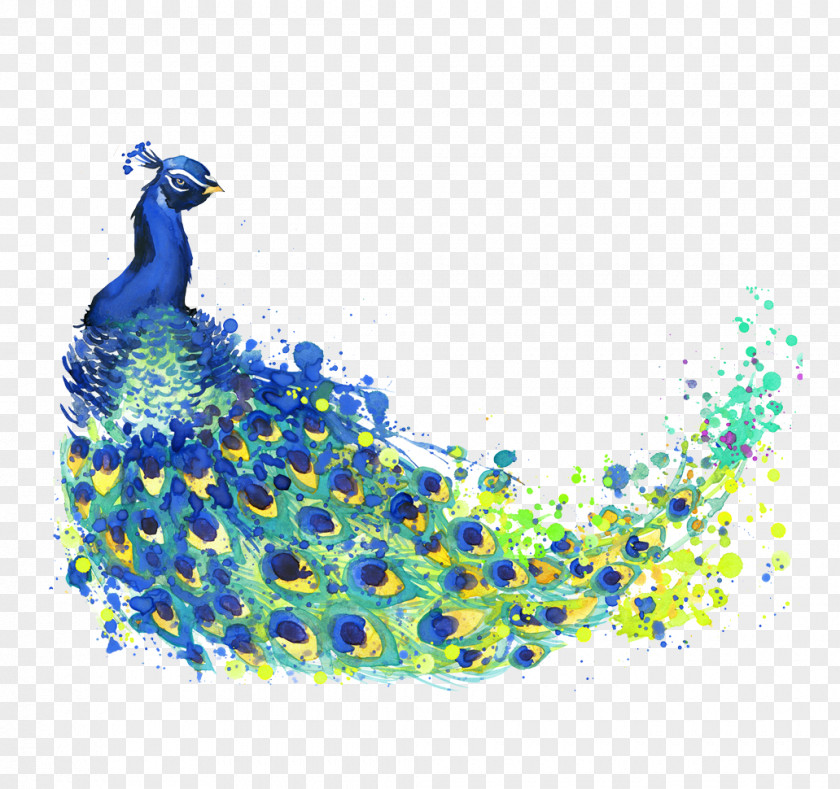 Watercolor Peacock The Feather Peafowl Drawing Painting Illustration PNG