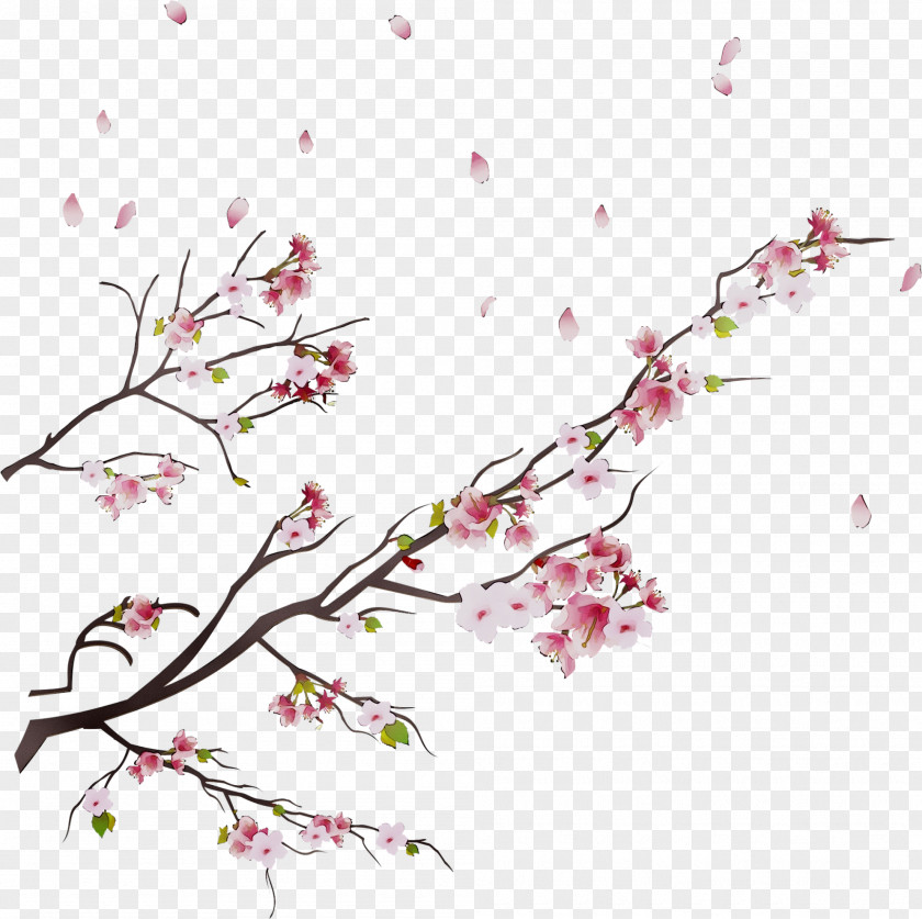 Cherry Blossom Vector Graphics Design ST.AU.150 MIN.V.UNC.NR AD PNG