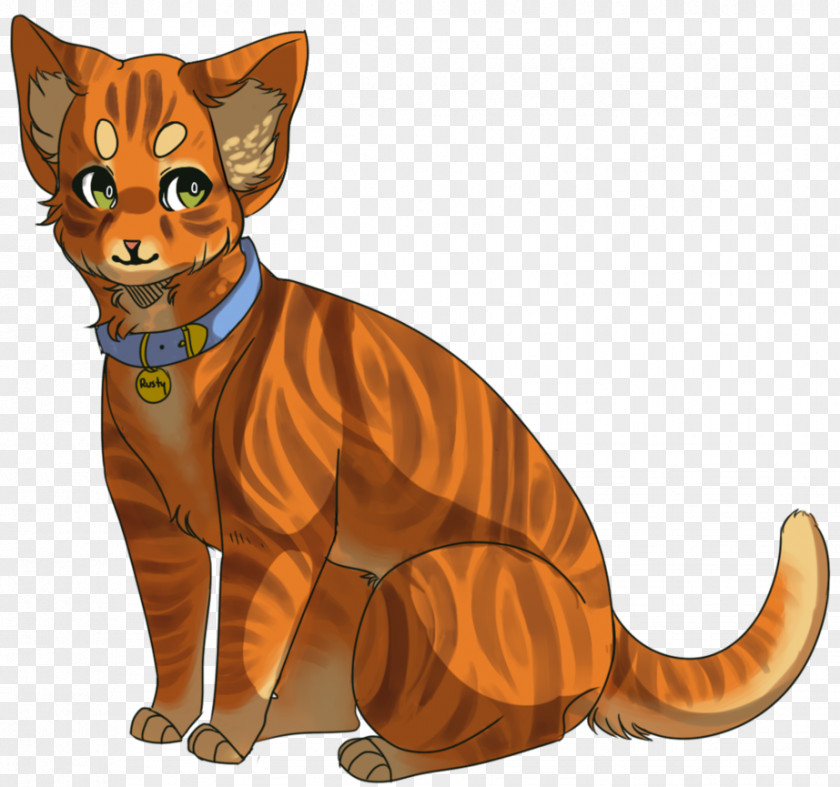 Rusty Into The Wild Cat Firestar Warriors Cinderpelt PNG