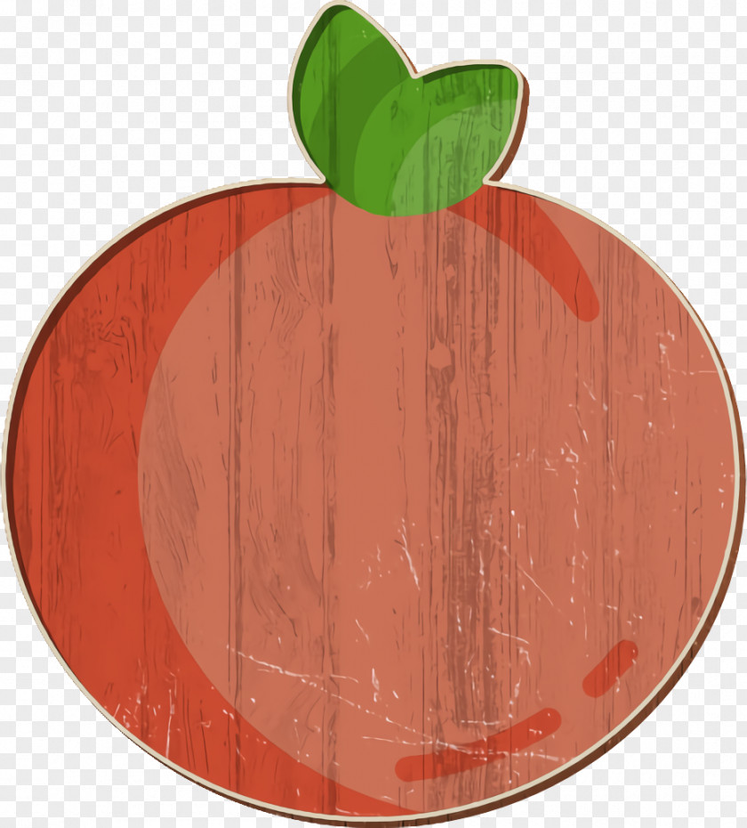 Spring Icon Apricot PNG