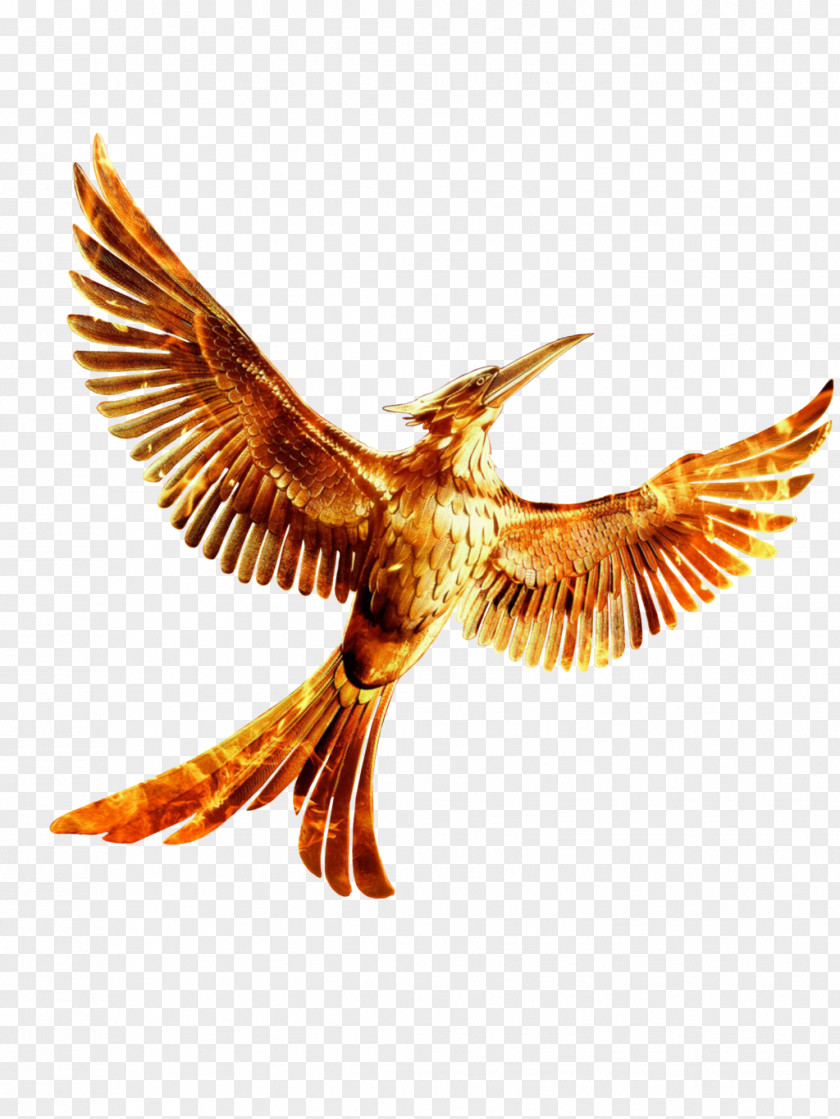 The Hunger Games HD Mockingjay YouTube Clip Art PNG
