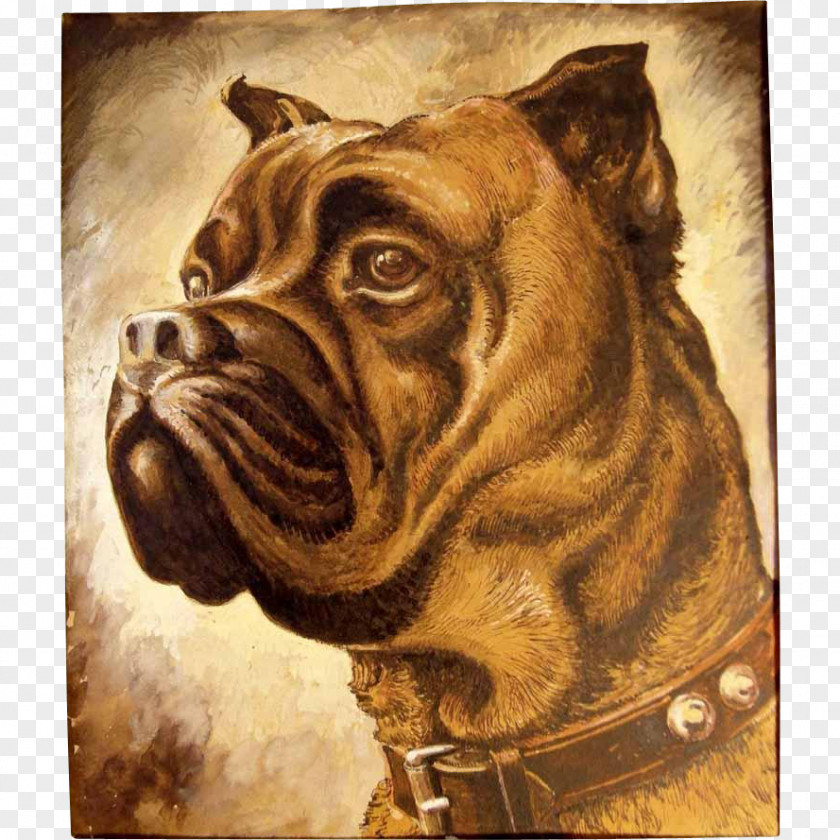 Water Color Dog Breed Bullmastiff Bulldog Snout PNG