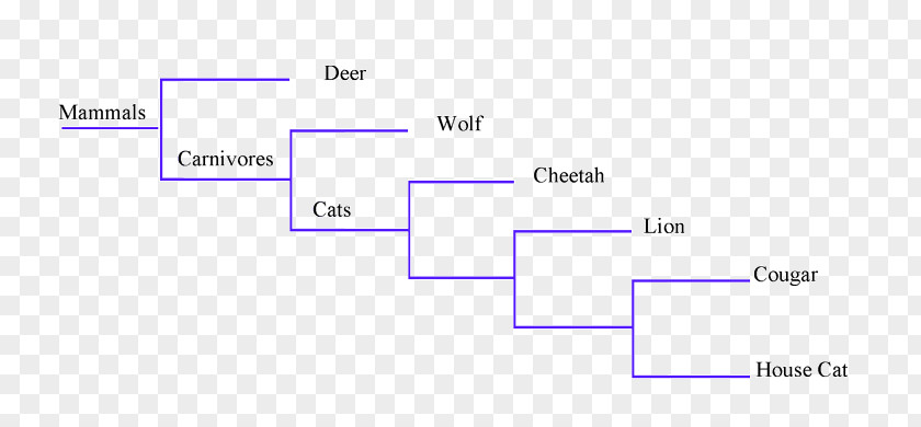 Binary Tree Document Line Design Angle Brand PNG