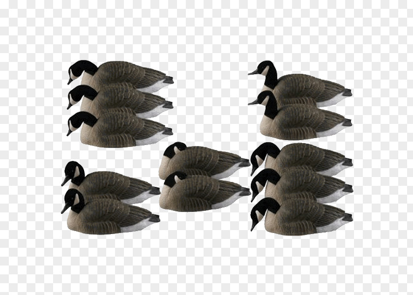 Canada Goose Duck Mallard Decoy PNG