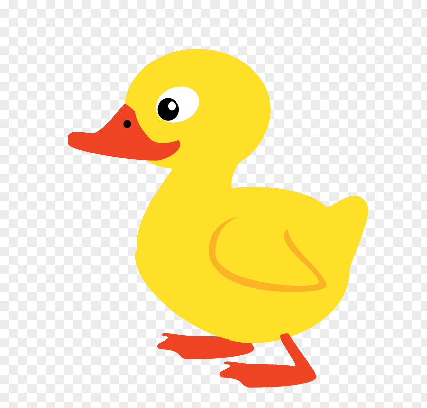 Duck Sticker Adhesive Drawing Parede PNG