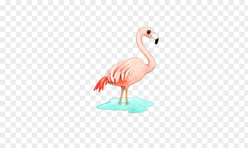 Flamingos Painted Material Picture Greater Flamingo Bird Paper Illustration PNG
