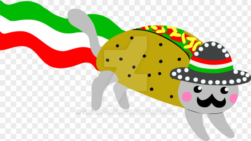 Nyan Mexican Cuisine Taco Cat Desktop Wallpaper PNG