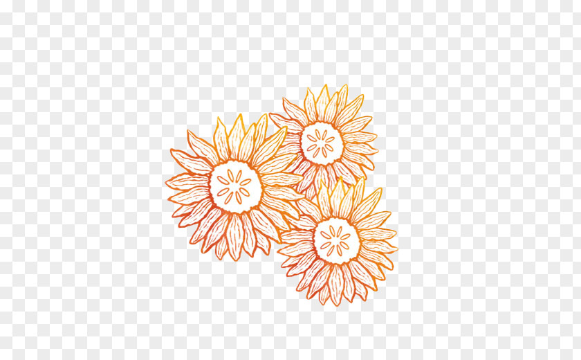 Orange Sunflower Floral Design Common PNG