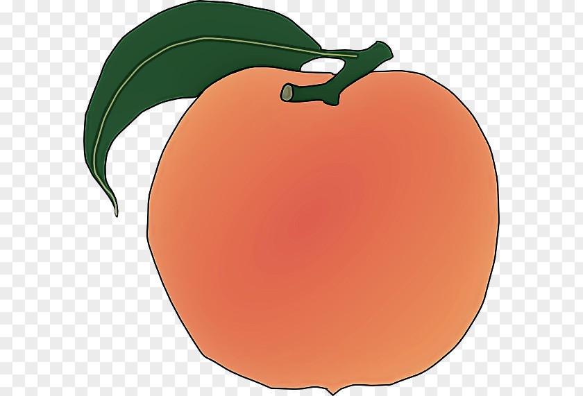 Orange PNG