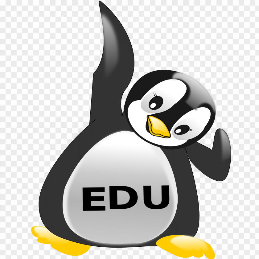 Post It Animals Edulogo King Penguin Desktop Wallpaper PNG