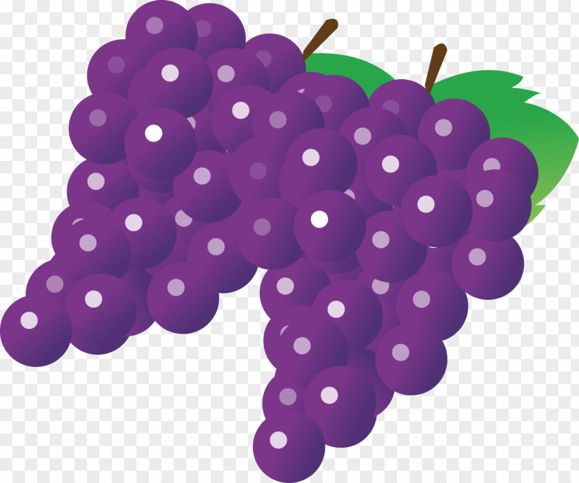Grape Overhead Juice Wine Fruit PNG