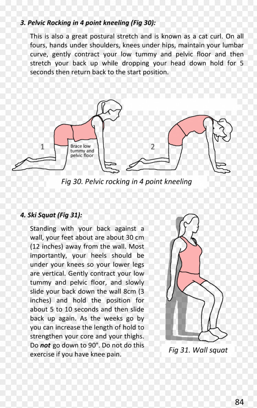 Pelvic Floor Dysfunction Gynaecology Pelvis Surgery PNG