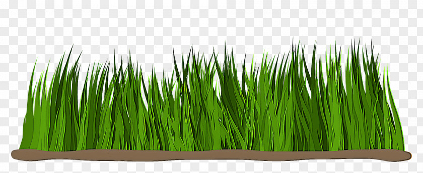 Wheatgrass Commodity PNG