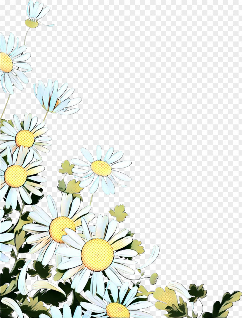 Wildflower Plant Daisy PNG