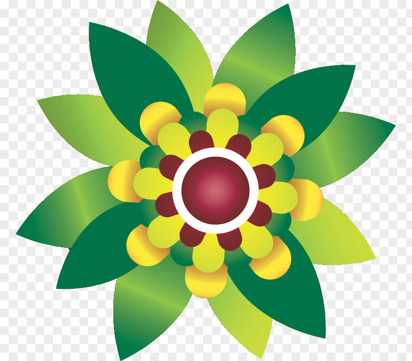 Flower Floral Design Adobe Photoshop Green PNG