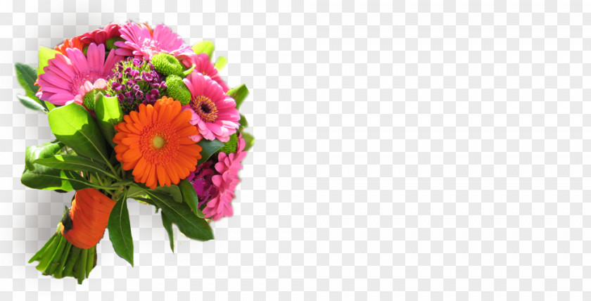 Flower Transvaal Daisy Floral Design Cut Flowers Bouquet PNG