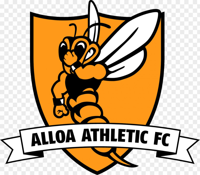 Football Alloa Athletic F.C. Stranraer Annan Scottish Championship Falkirk PNG