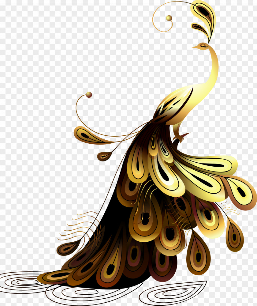 Golden Peacock Peafowl Illustration PNG