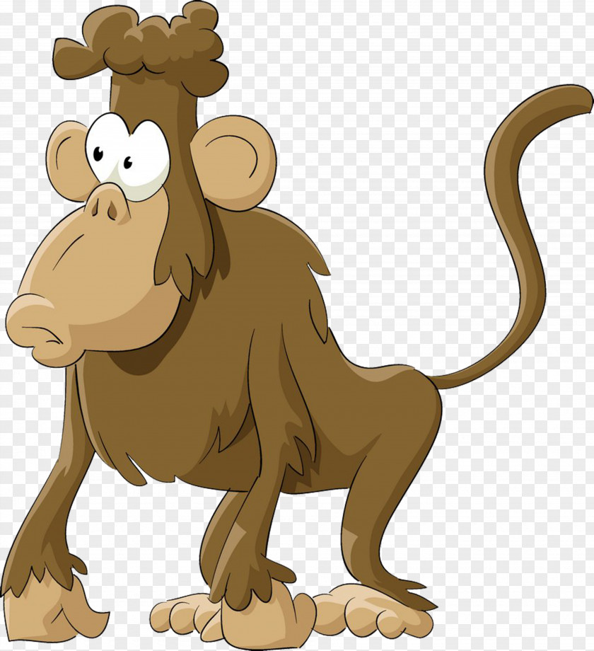 Gorilla Mandrill Hamadryas Baboon Monkey Clip Art PNG