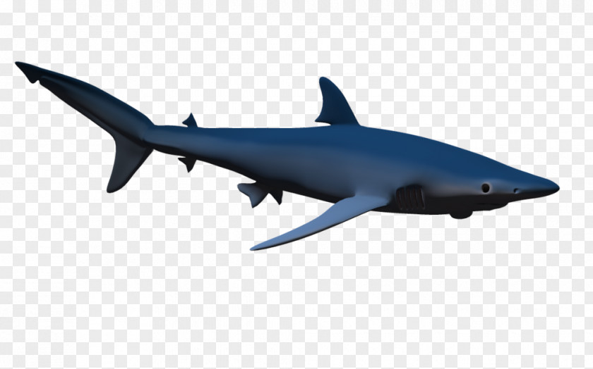 Hammerhead Shark Clipart Clip Art PNG
