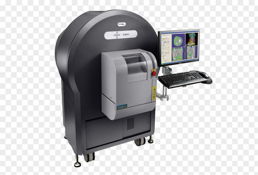 Rat Medical Imaging Bildgebendes Verfahren X-ray Microtomography PerkinElmer PNG