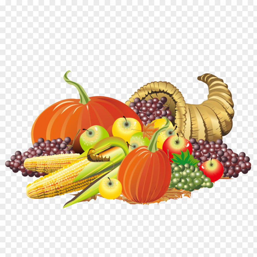 Vector Pumpkin Colorful Fruit Grape Heap Thanksgiving Cornucopia Clip Art PNG